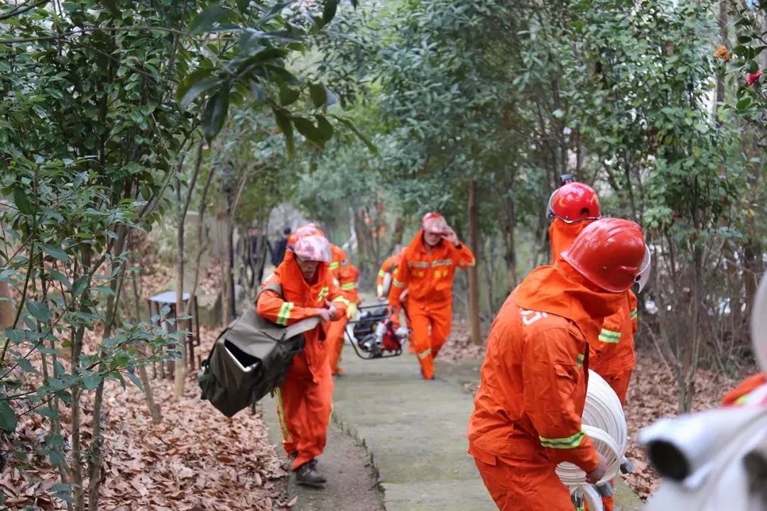 清明时节，区长紧盯森林防火，要求必需全力以赴，严防死守！