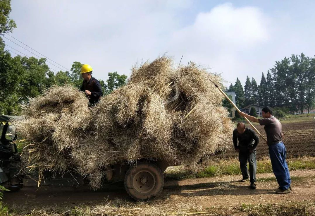 “堵疏”并举，抓实露天秸秆禁烧监控