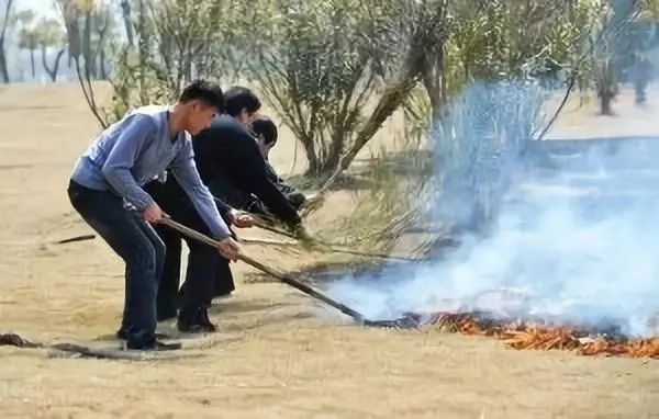 鸟枪换炮式的森林防火装备升级 纪录森林防火生长轨迹