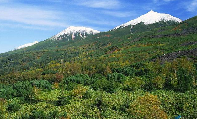 输电线路防山火监控系统